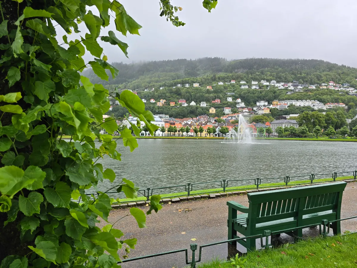 Holiday Ideas - Fjord cruise carving through Norway