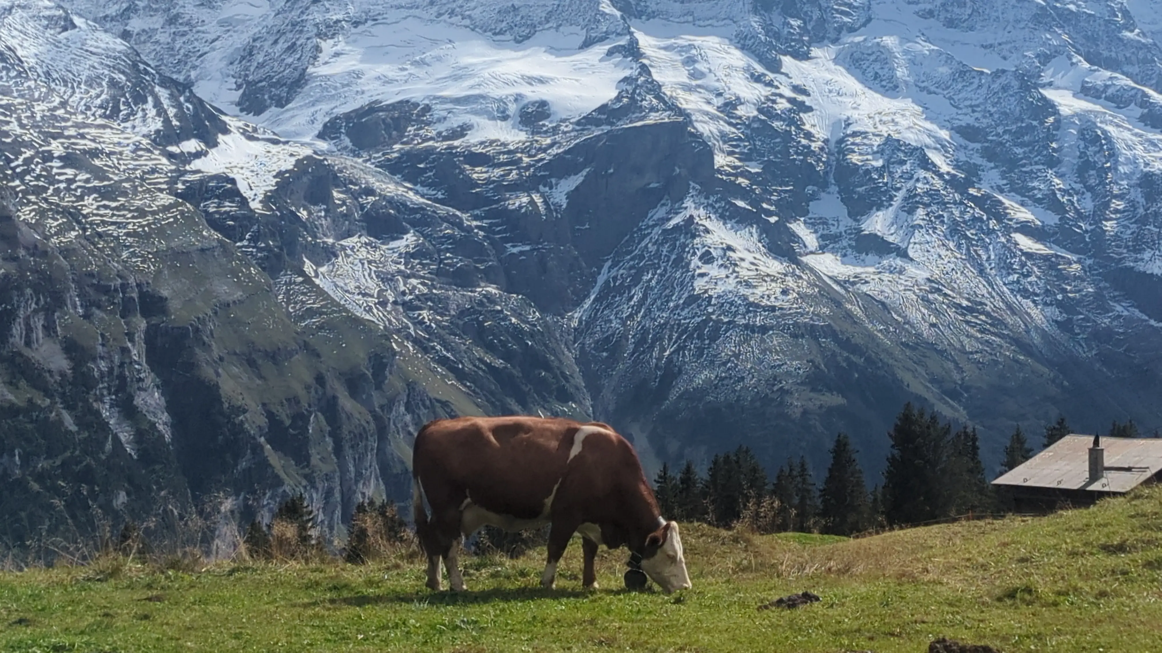Switzerland - Alpine landscapes and mountain peaks