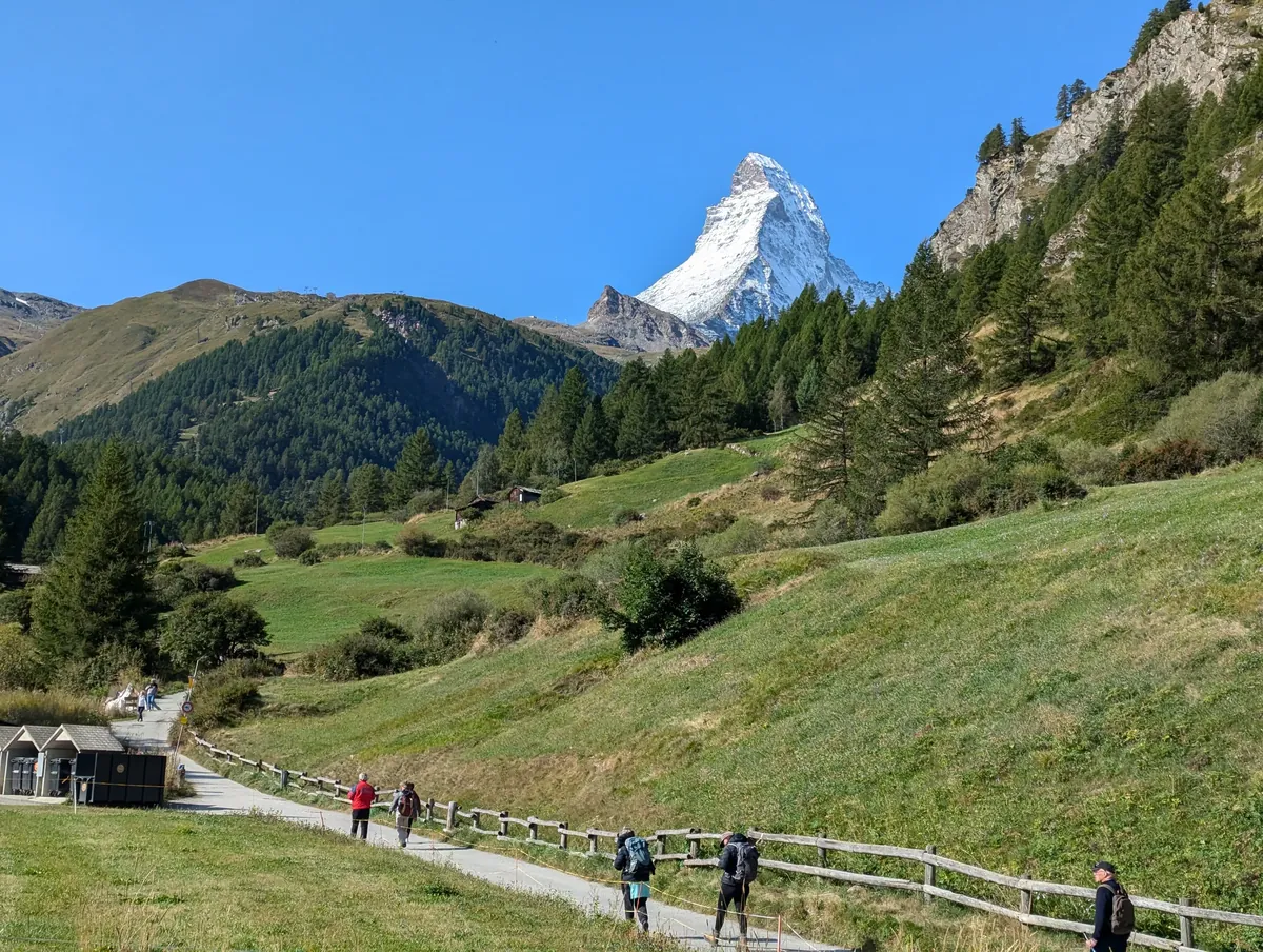 Holiday Ideas - Swiss cow grazing alpine meadow